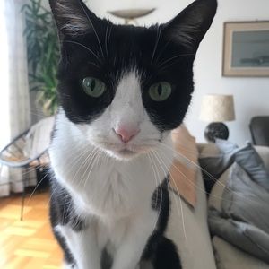 Meet your Posher, Carla